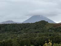 Taranaki Falls Track