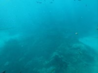 Underwater view from pontoon