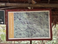 Canopy walkways map