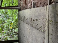 Leafcutter ants