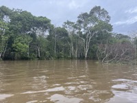 Past waterline