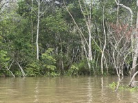 Past waterline
