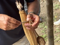 Sharpening a blowgun dart with piranha teeth