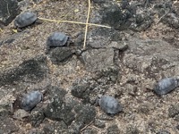 At Galápagos National Park